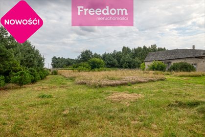 Działka rolna na sprzedaż Ożegów, Piaskowa 30 026m2 Foto 3