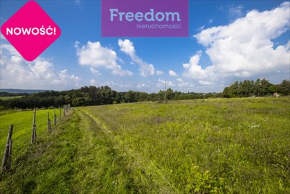 Działka budowlana na sprzedaż Wólka Hyżneńska 3 032m2 Foto 1
