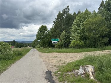 działka na sprzedaż 3000m2 działka Kudowa-Zdrój, Słoneczna