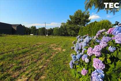 Działka 4087 m² pod dom lub inwestycję z mediami działka Morawica