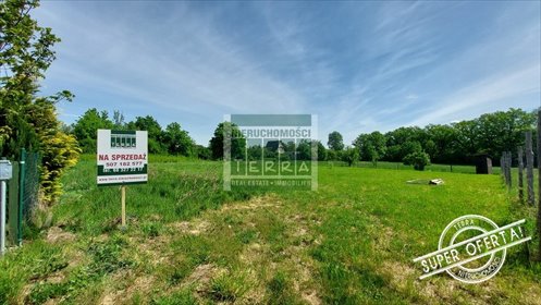 działka na sprzedaż 750m2 działka Zielona Góra, Ochla