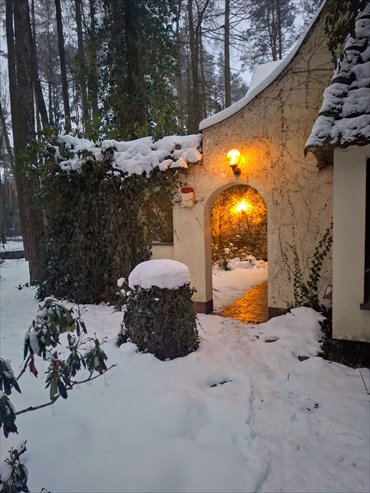 Unikalny dom z artystycznym duchem, 6 pokoi, garaż dom Łomianki Dąbrowa, Dąbrowa Zachodnia, Dąbrowa Zachodnia, Modrzewiowa