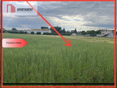 działka na sprzedaż 4279m2 działka Przygodzice, Ogrodowa
