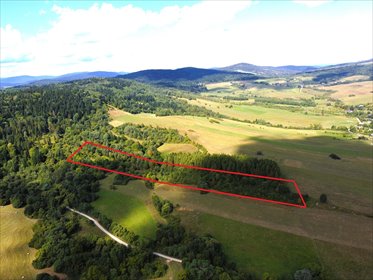 Sprzedam widokową działkę 21 600 m² w Mszanie działka Mszana