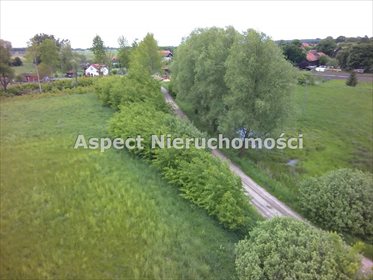 Działka budowlana na sprzedaż Królewo, Królewo, Królewo 9 426m2 Foto 4
