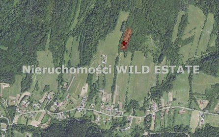 Działka rolna 1 ha w Manasterzec, spokojna okolica działka Lesko, Manasterzec