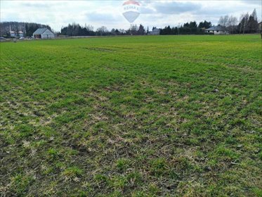 działka na sprzedaż 1558m2 działka Miszewko Strzałkowskie