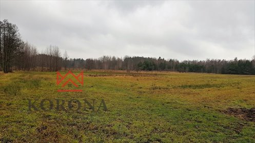 działka na sprzedaż 3388m2 działka Skrybicze