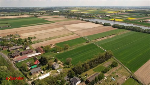 działka na sprzedaż 13900m2 działka Krowica Pusta
