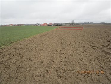 działka na sprzedaż 980m2 działka Małkowo, Zielona
