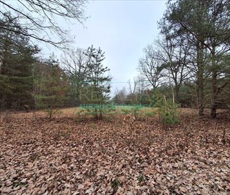 Działka 1315 m² pod dom w spokojnej okolicy z naturą działka Owczarnia