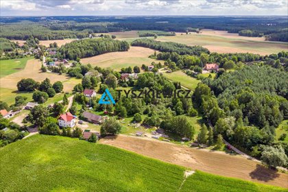Duża działka 4,5 ha z potencjałem inwestycyjnym działka Lipy