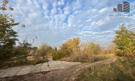 działka na sprzedaż 19700m2 działka Łomianki Dolne, Brzegowa