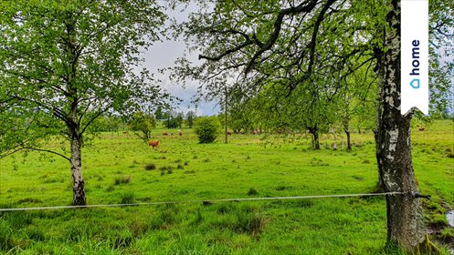 działka na sprzedaż 1281m2 działka Lesica