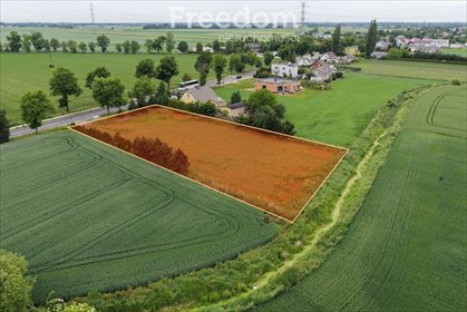 działka na sprzedaż 2904m2 działka Kaczanowo, Kaliska
