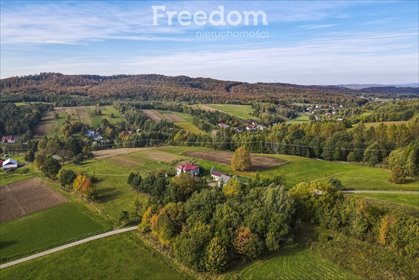 działka na sprzedaż 8100m2 działka Grabówka