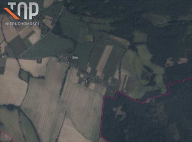 Działka budowlana na sprzedaż Żaba 1 544m2 Foto 3
