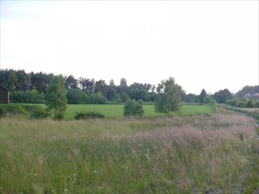Działka rekreacyjna na sprzedaż Żołędowo 2 000m2 Foto 3