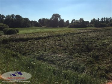 Działka rolna na sprzedaż Suchy Grunt 11 600m2 Foto 4