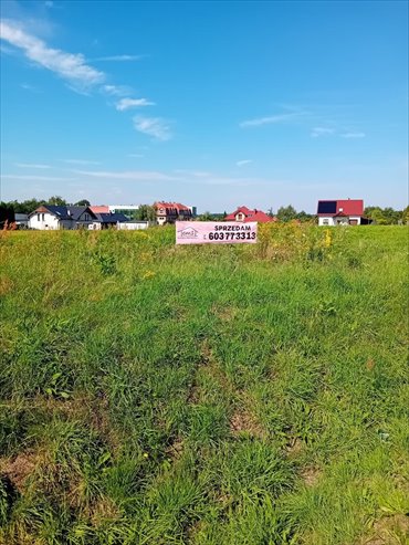 Działka budowlana 1959 m² przy asfaltowej ulicy (media) działka Sośnicowice, Gimnazjalna
