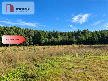 Na sprzedaż działka 950 m² z WZ i prądem w Nowej Wiosce działka Nowa Wioska