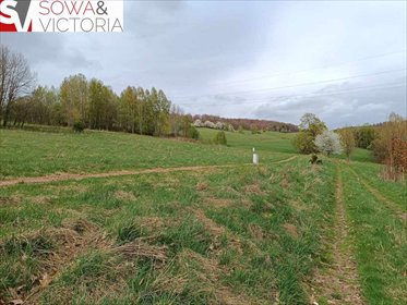 działka na sprzedaż 1341m2 działka Głuszyca