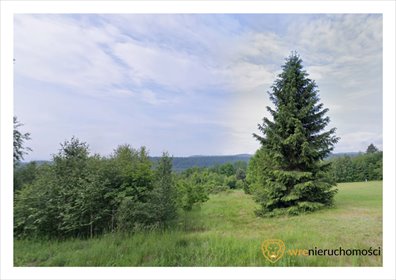 Działka 7497 m² w Chocieszowie - MPZP - widok i możliwości działka Chocieszów