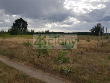 Działka 1185 m² z prądem i dostępem do drogi - Michałów działka Michałów