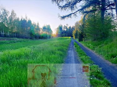 działka na sprzedaż 3200m2 działka Zemborzyce Podleśne