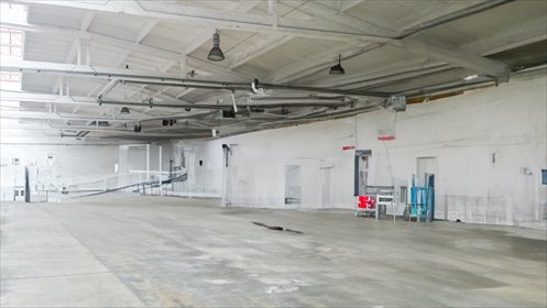 magazyn na sprzedaż 6000m2 magazyn Łódź, Bałuty