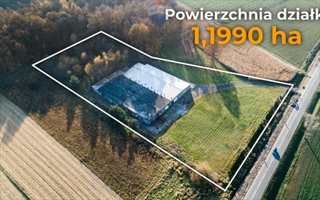 Lokal użytkowy na sprzedaż Łąka 2 051m2 Foto 2