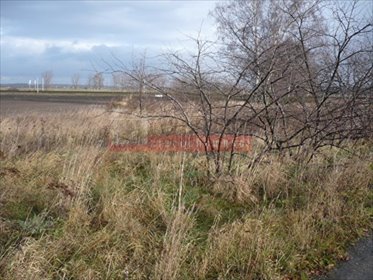 Polecam działkę 1514 m² w Mechnicach z mediami i dobrym dojazdem działka Mechnice