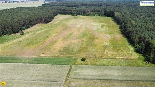 Duża działka pod inwestycję w otulinie lasu, 11,56 ha działka Polichno