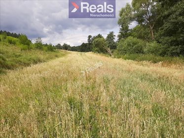 Działka budowlana na sprzedaż Rogóźno-Zamek 1 000m2 Foto 5