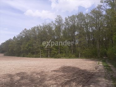 działka na sprzedaż 2300m2 działka Jaskrów