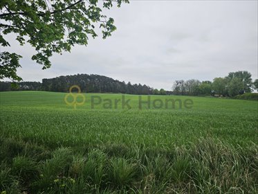 działka na sprzedaż 831m2 działka Ostrowieczno