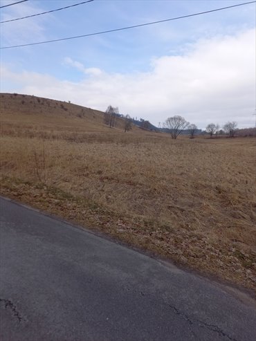 działka na sprzedaż 2000m2 działka Mieroszów