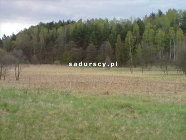 Działka budowlana na sprzedaż Frywałd 25 000m2 Foto 3