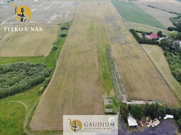 działka na sprzedaż 75000m2 działka Sztum