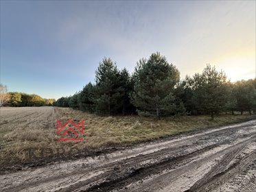 działka na sprzedaż 6464m2 działka Olchówka