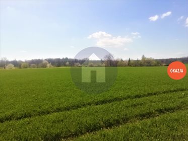 Działka budowlana na sprzedaż Kruków 1 200m2 Foto 6