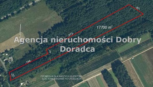 Działka 17 700 m² w Osuchowie (las, cisza, warunki zabudowy) działka Osuchów, Okrężna