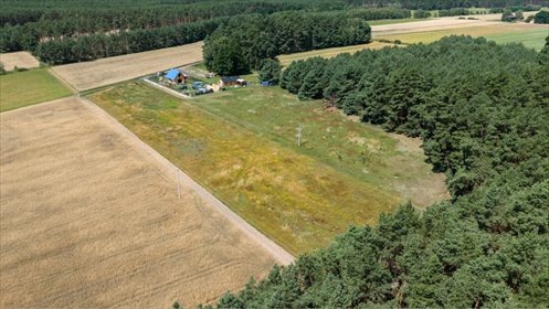 3 lub 6 domów? Ty zdecyduj! działka Dąbrówka Wielkopolska