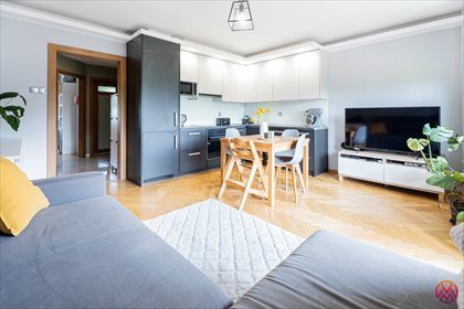 Do sprzedania przestronne 3-pokojowe mieszkanie 50 m² z klimatyzacją i dużym balkonem mieszkanie Łódź, Bałuty, Bałuty, Zagajnikowa