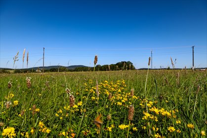 działka na sprzedaż 1500m2 działka Szerzyny