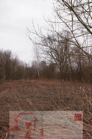 działka na sprzedaż 6000m2 działka Kazimierz Dolny