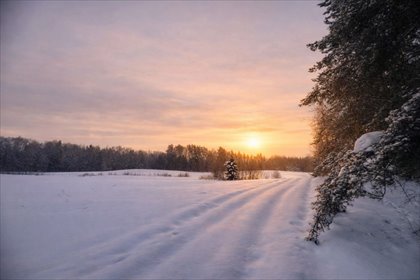 działka na sprzedaż 8585m2 działka Trokajny
