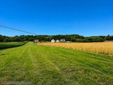 Działka budowlano-rolna 3,87 ha z mediami w Garlicy. działka Garlica Murowana