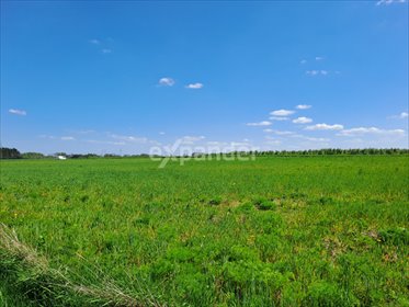 działka na sprzedaż 1000m2 działka Biała, Biała Górna