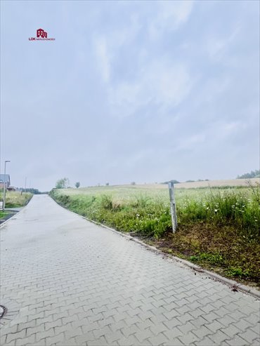 działka na sprzedaż 1002m2 działka Przytok